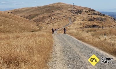 Rapaki Track