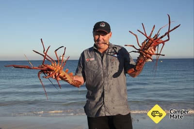 Lobster Shack
