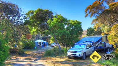 Pemandangan Douglas River Cabins