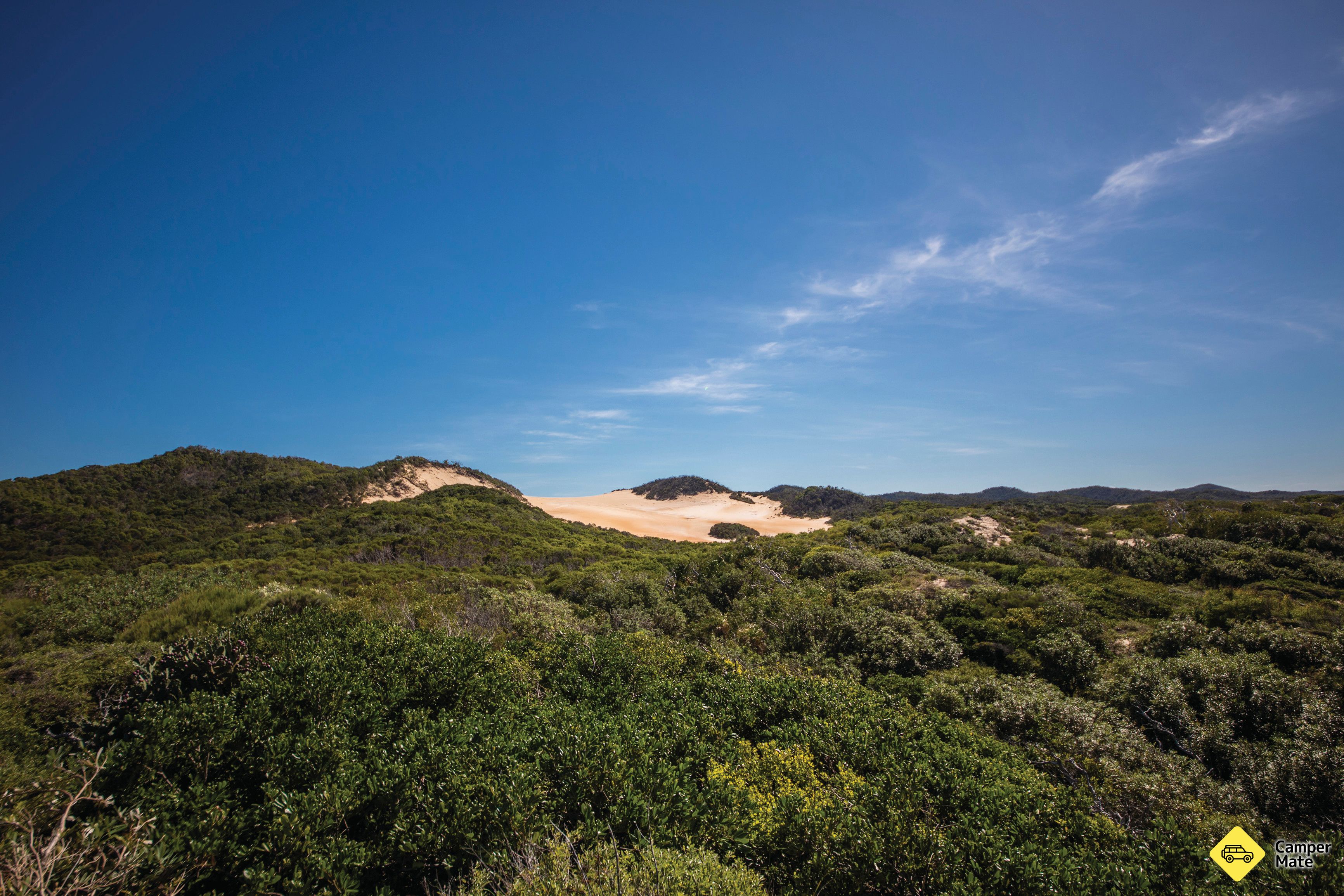 Queen Mary Sand Blow Track - Image 3