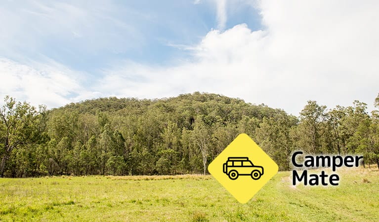 Mountain Arm Campground