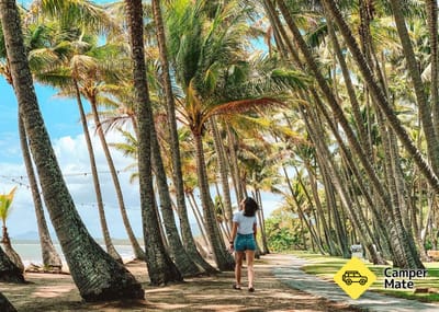 Palm Cove