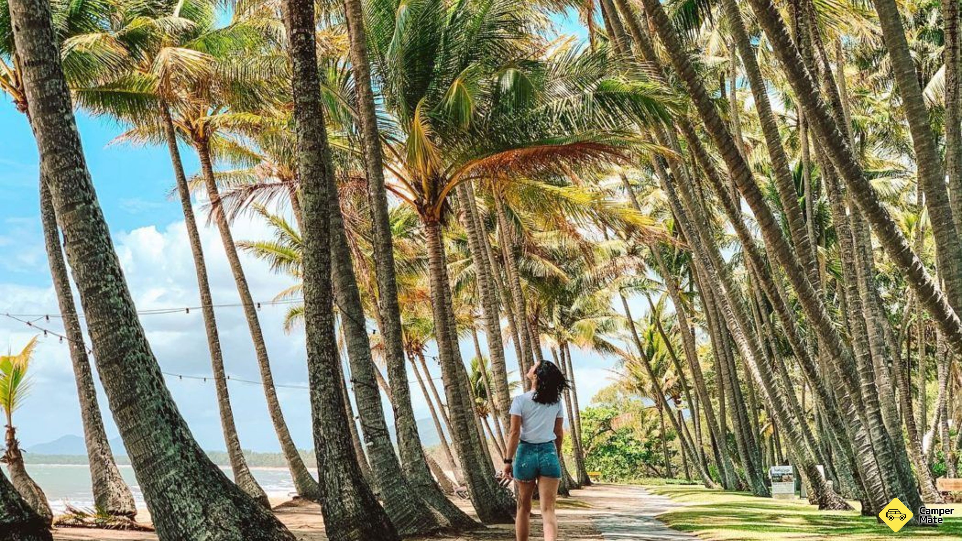 Palm Cove के बारे में