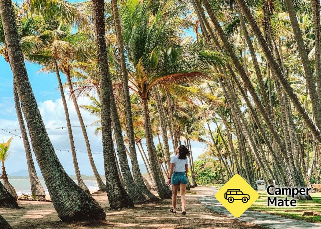 Palm Cove के बारे में
