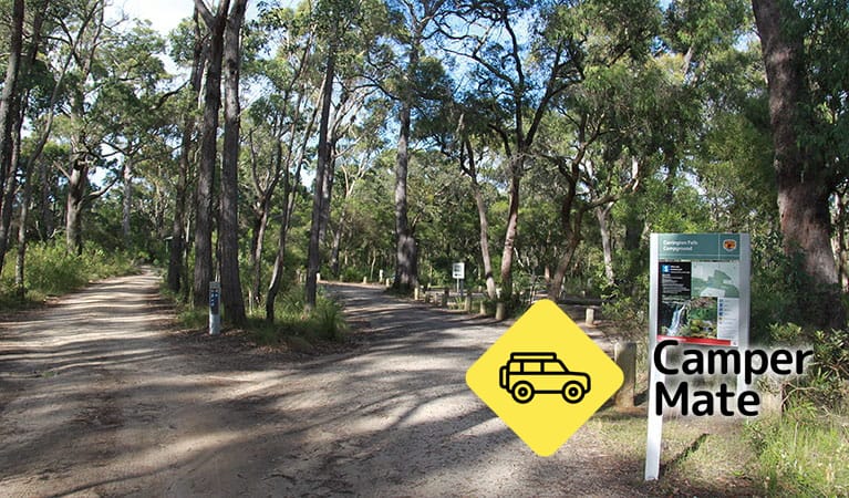 Carrington Falls Campground - Image 3