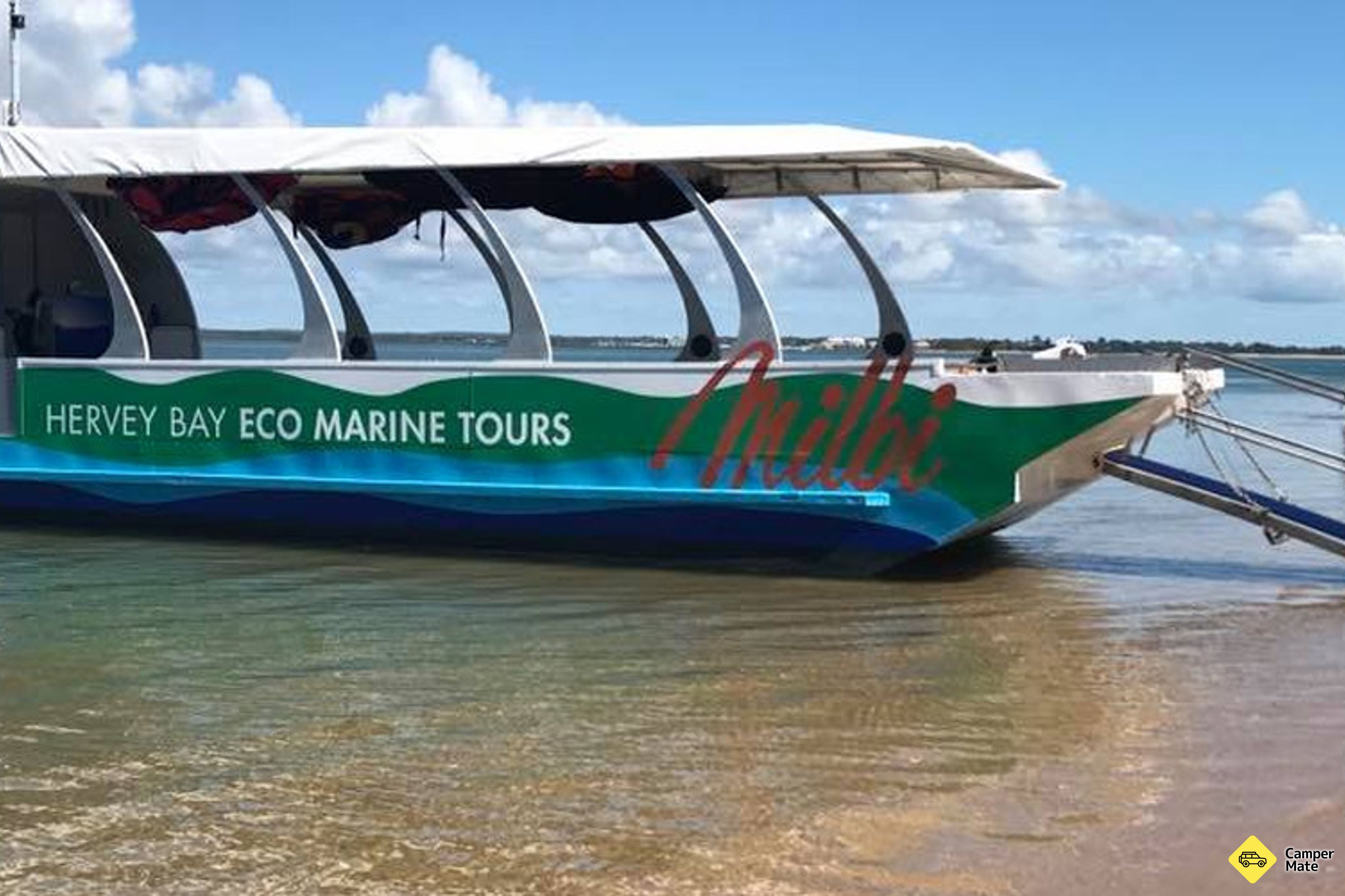 Další podrobnosti o zařízení Hervey Bay Turtle Discovery Marine Tours - Image 2