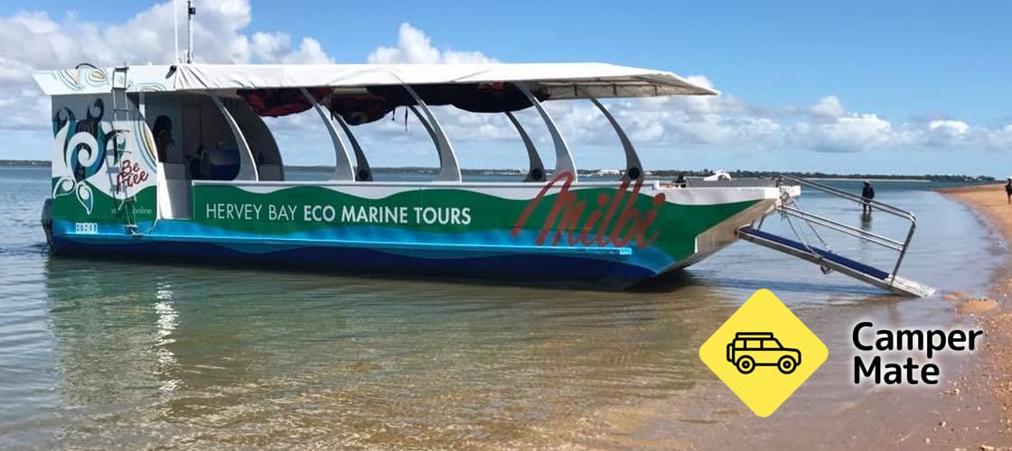 Hotel vicino a Hervey Bay Turtle Discovery Marine Tours - Image 2