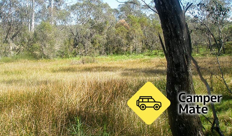 Tin Mines Campground - Image 2