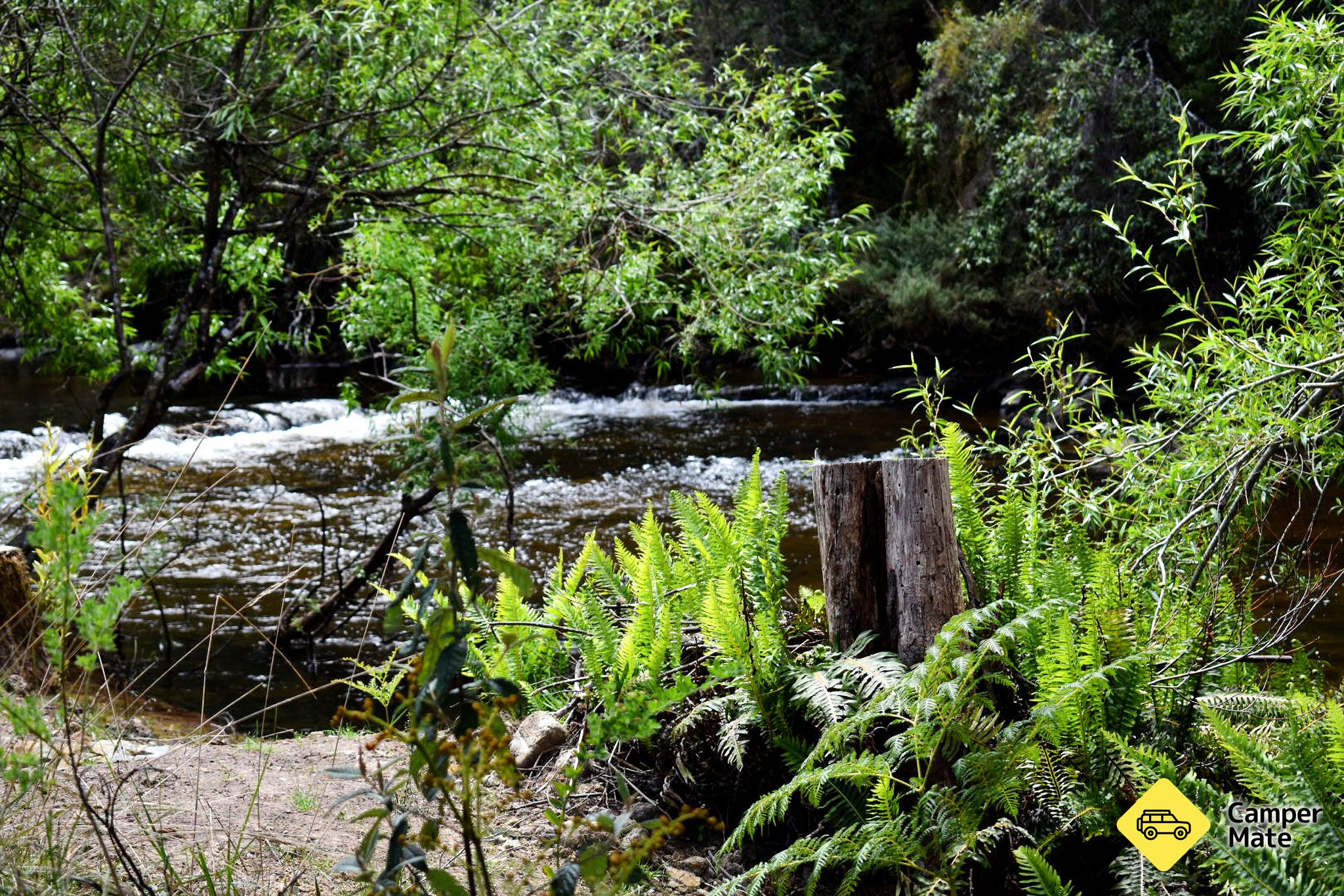 Russell Falls Holiday Cottages - Image 2