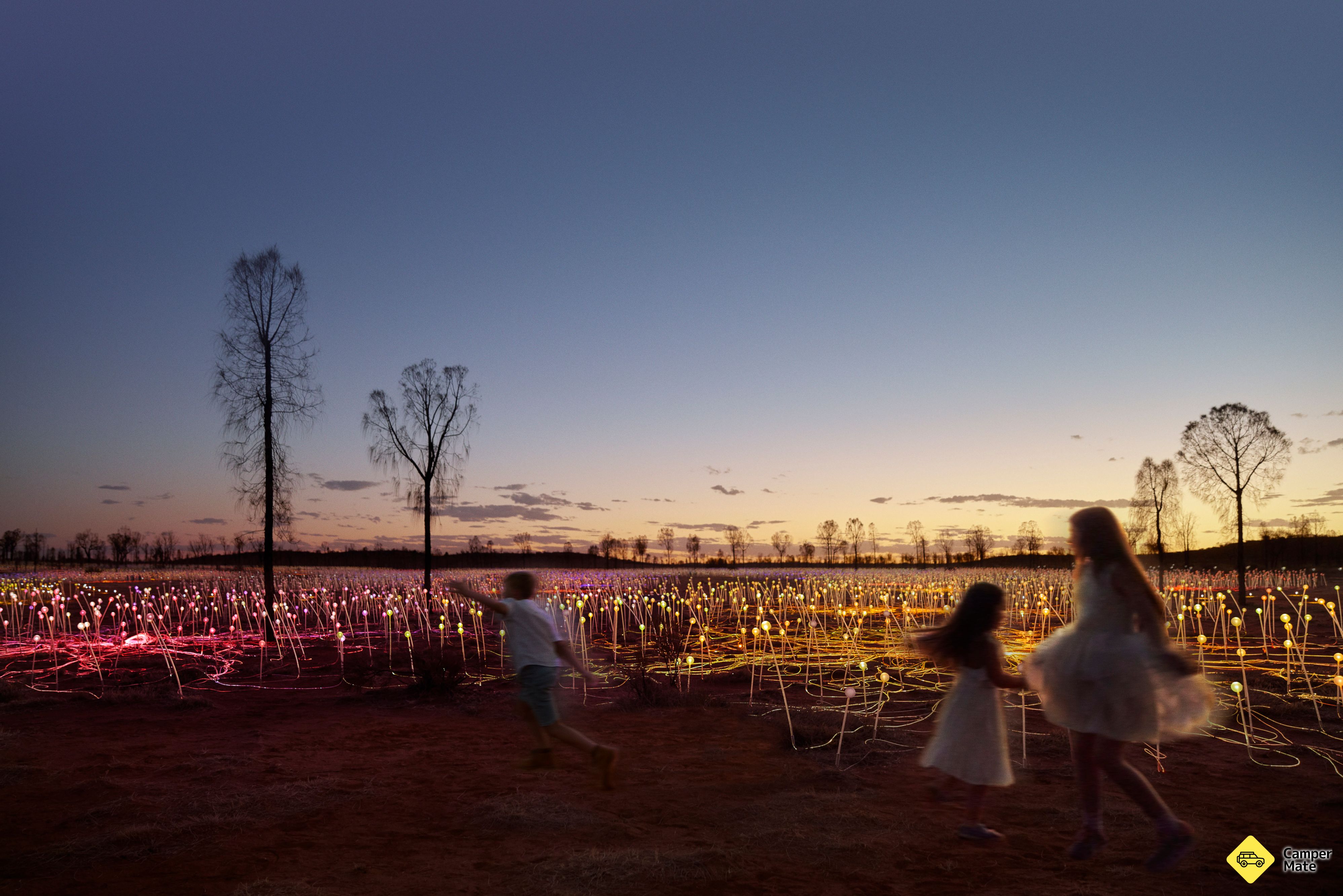 Field of Light Uluru - Image 3