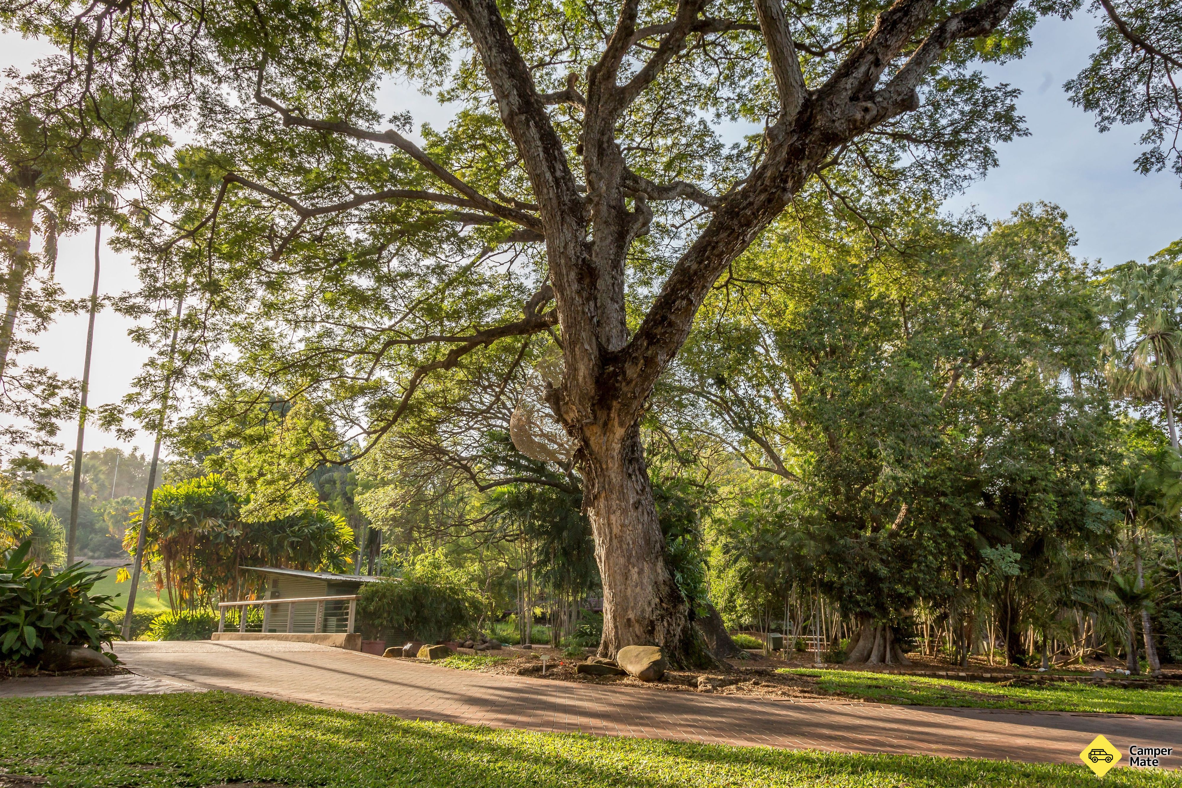 George Brown Darwin Botanic Gardens - Image 3