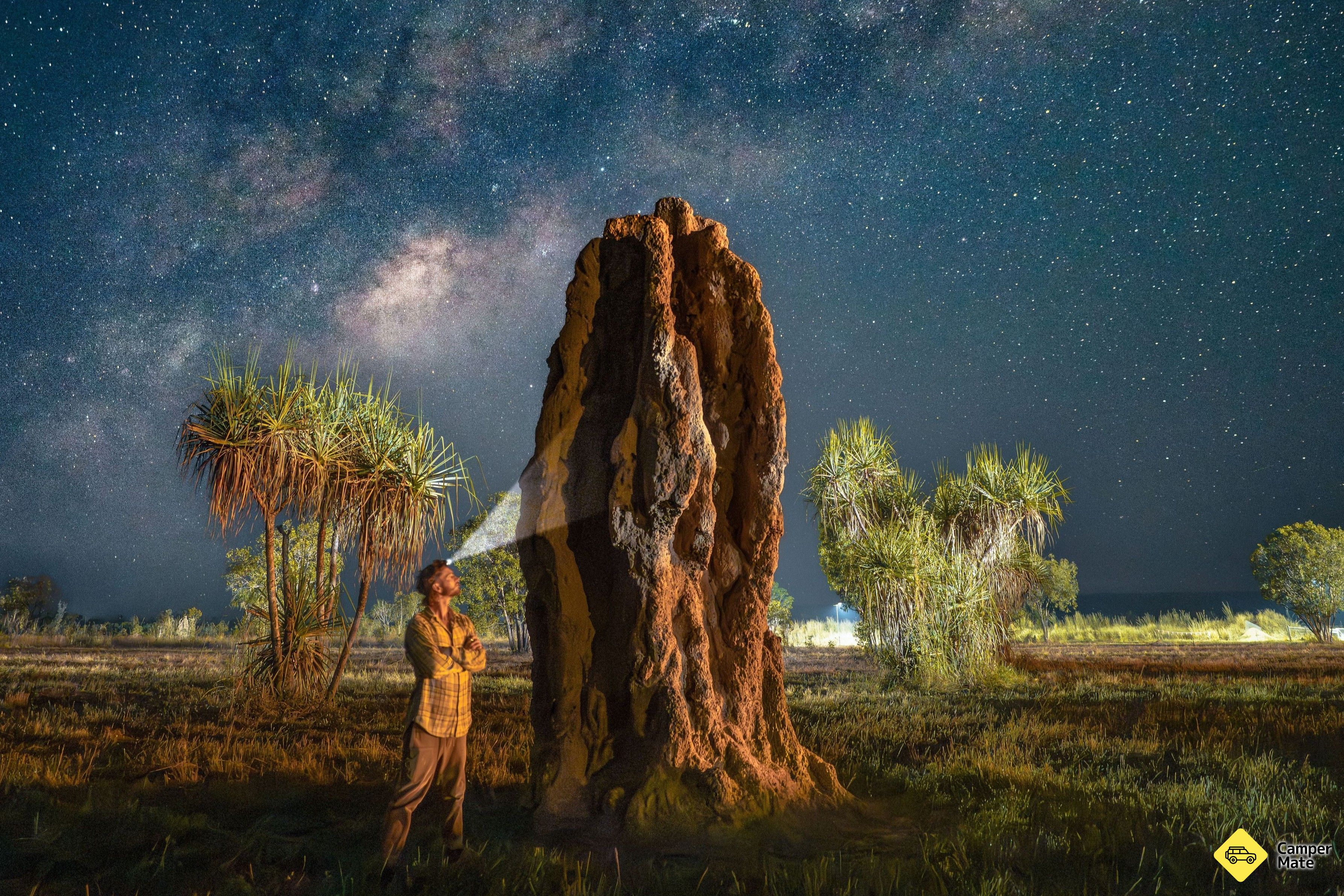 Magnetiska Termite Mounds - Image 3