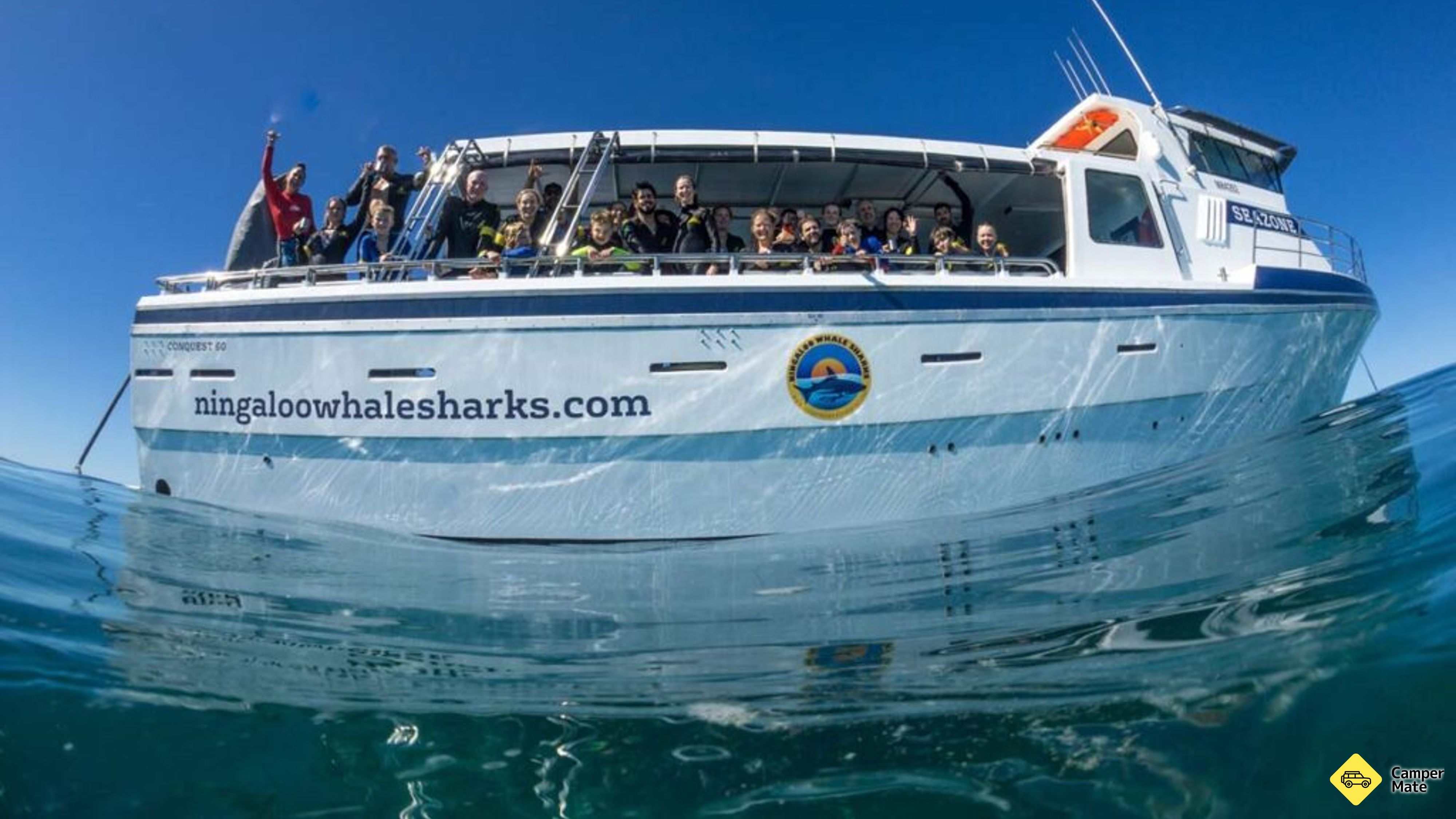 Ningaloo Whaleshark Swim
