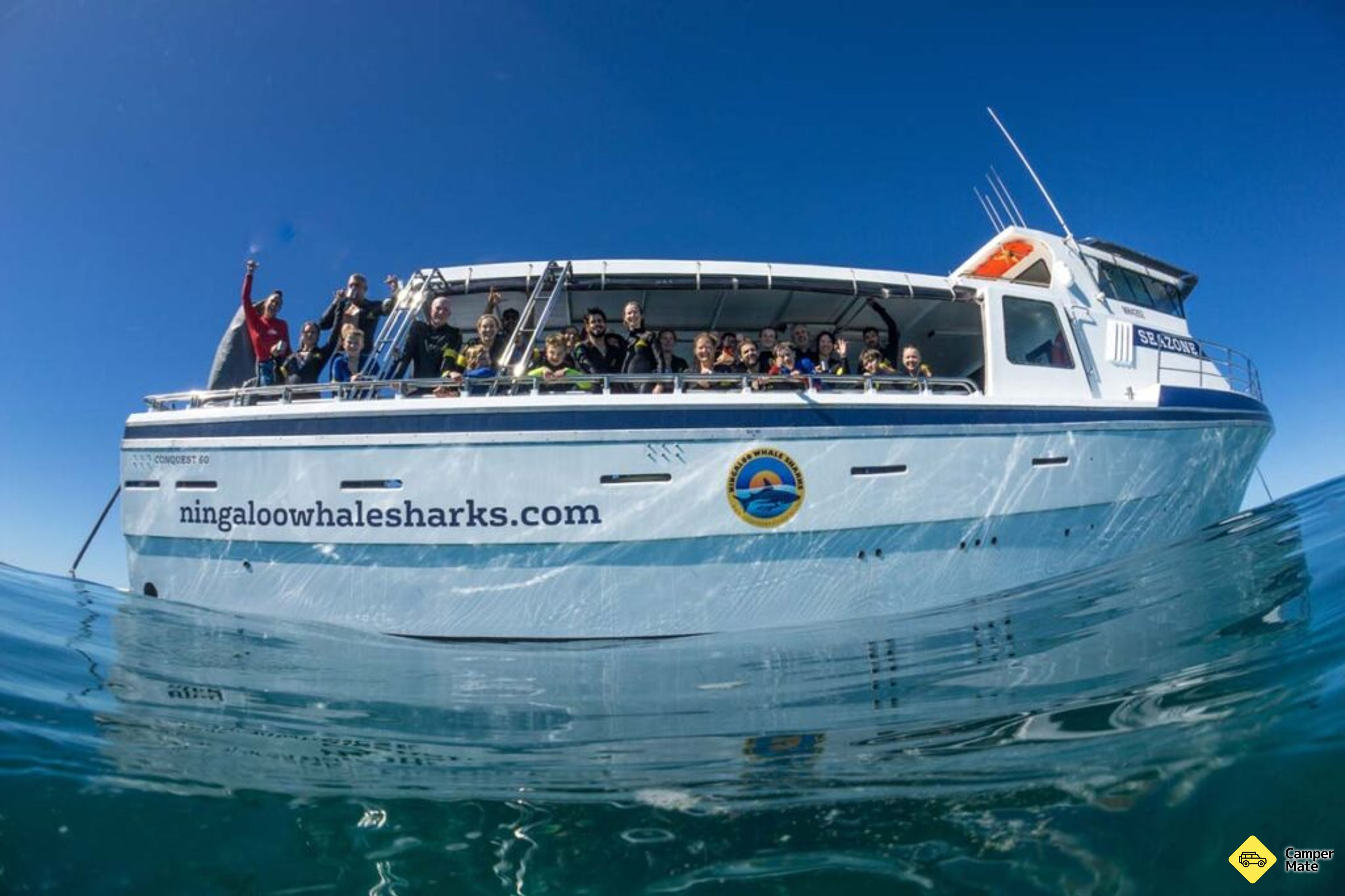 Ningaloo Whaleshark Swim
