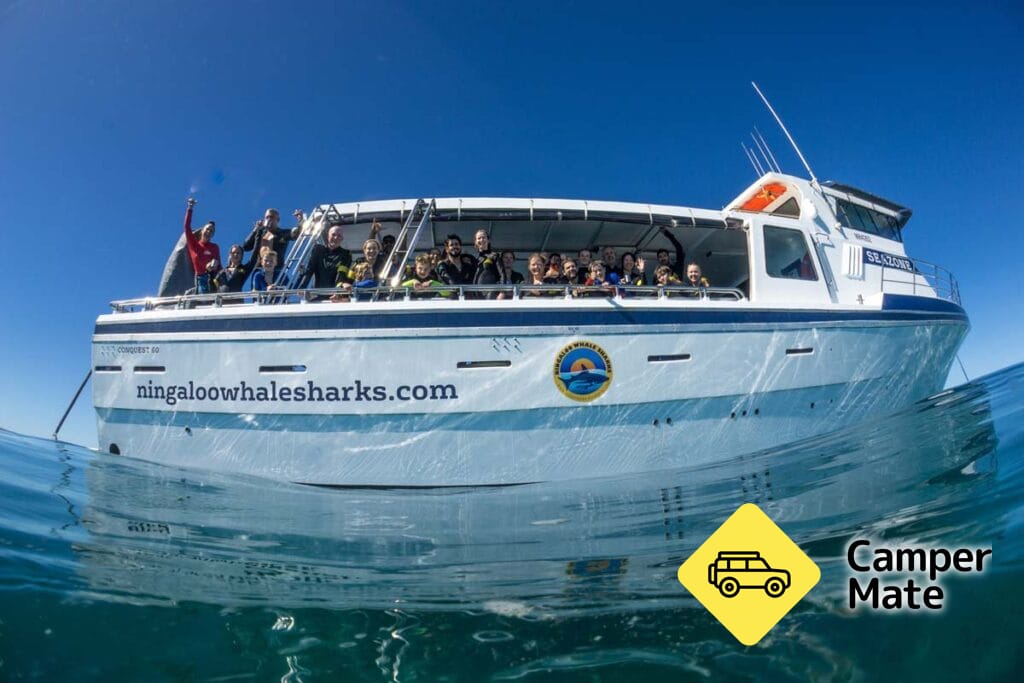 Ningaloo Whaleshark Swim