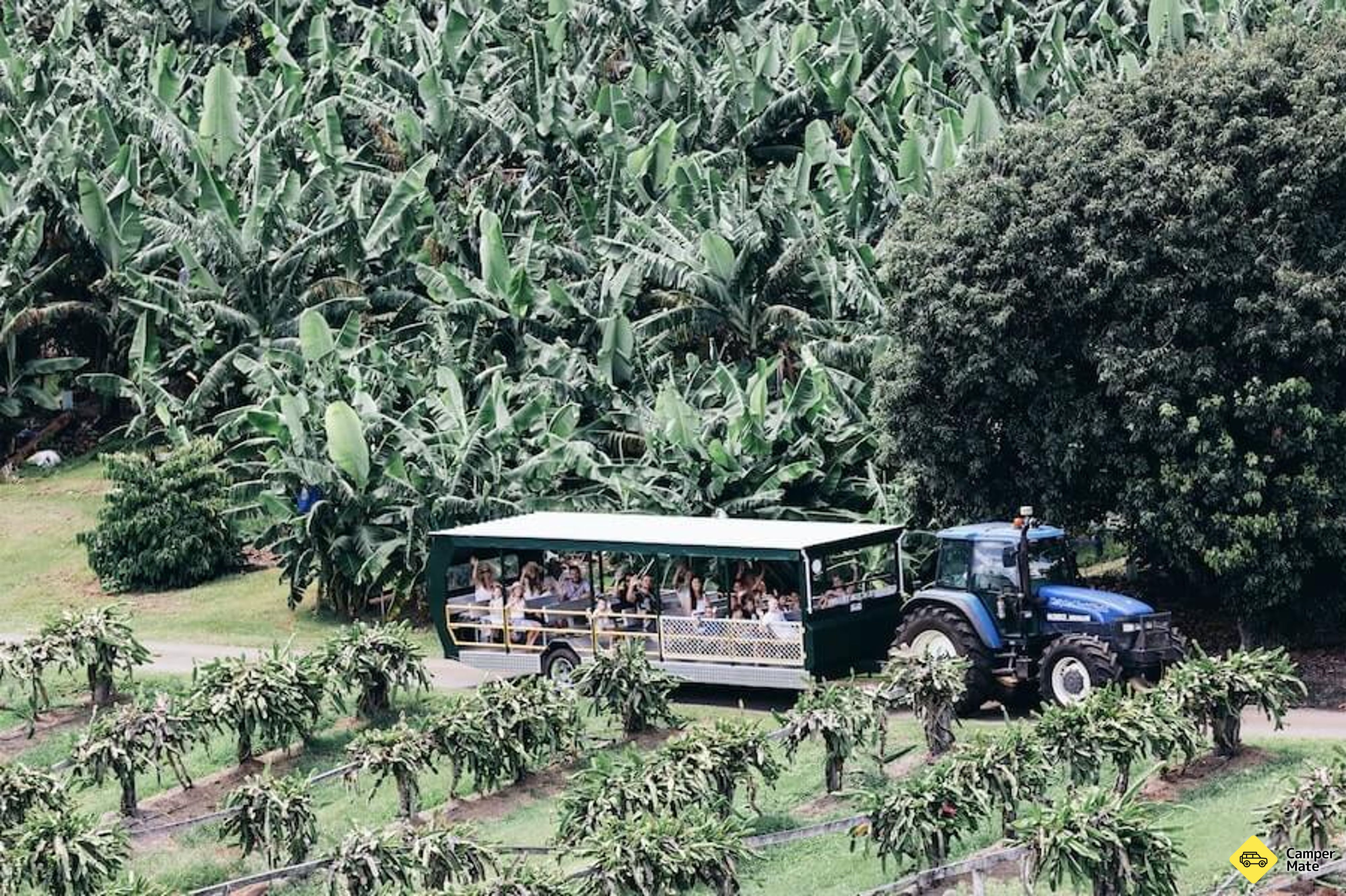 Tropical Fruit World - Image 2