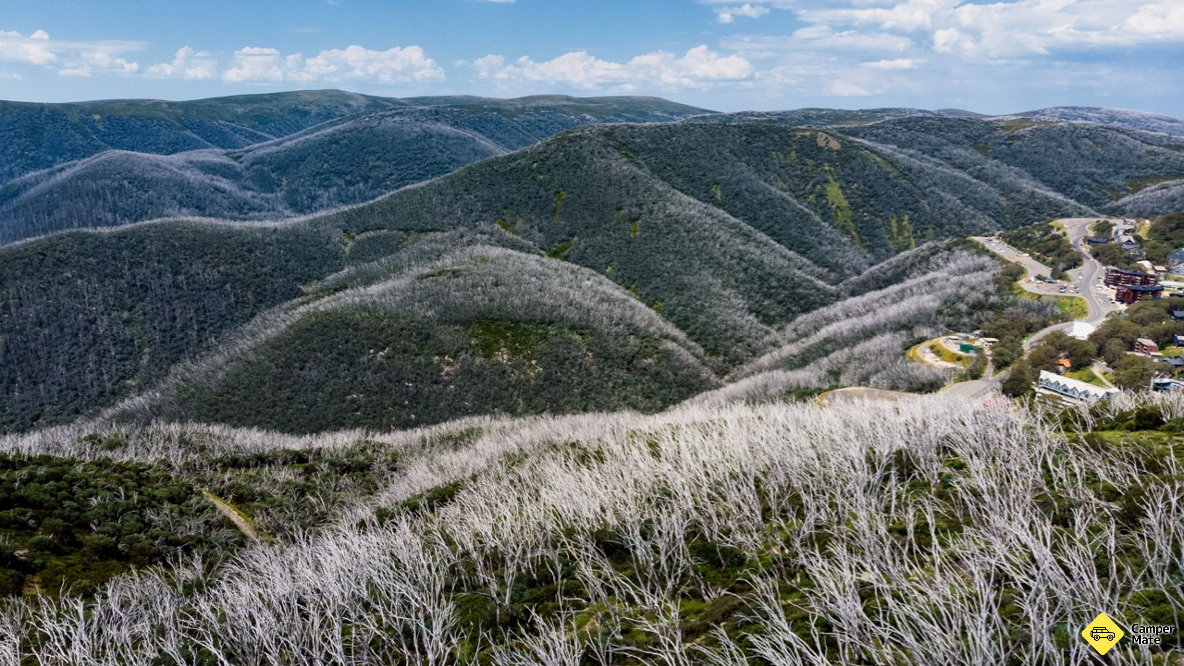 Big Fella Mountain Bike Trail