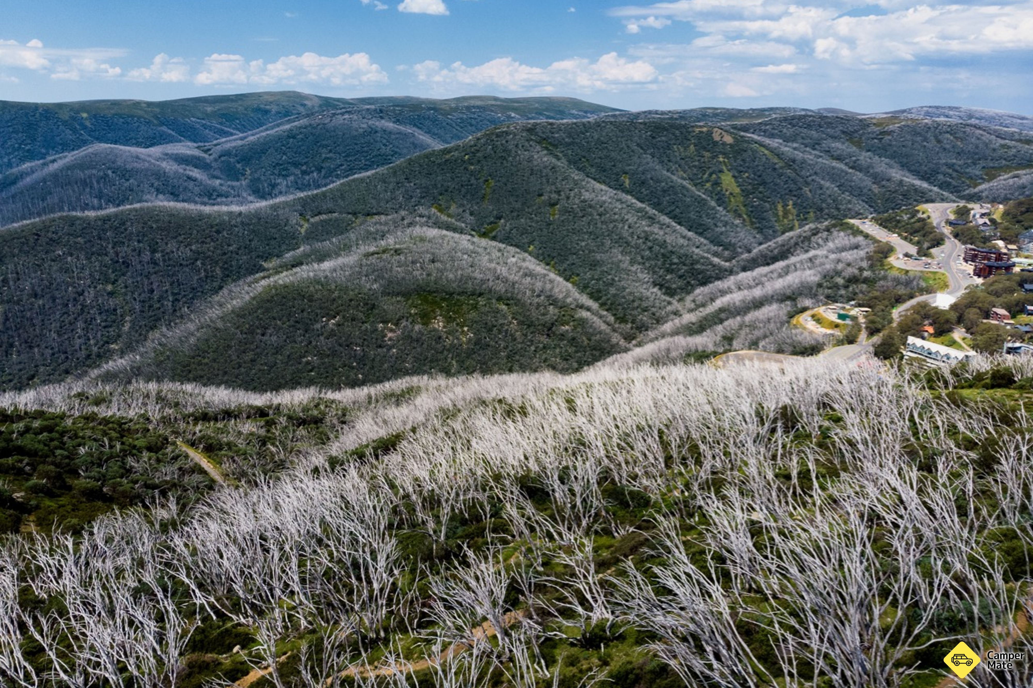 Big Fella Mountain Bike Trail