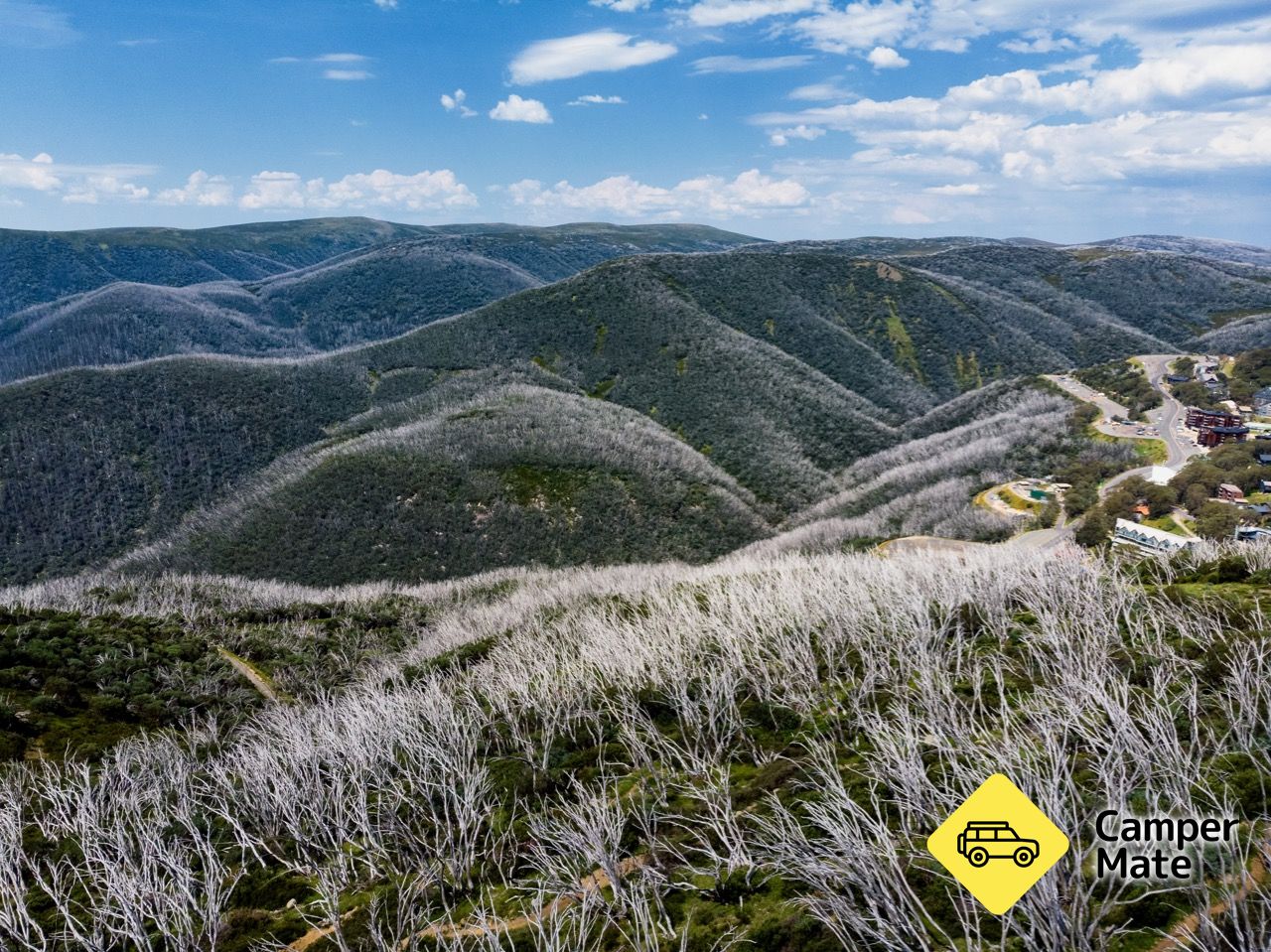 Big Fella Mountain Bike Trail