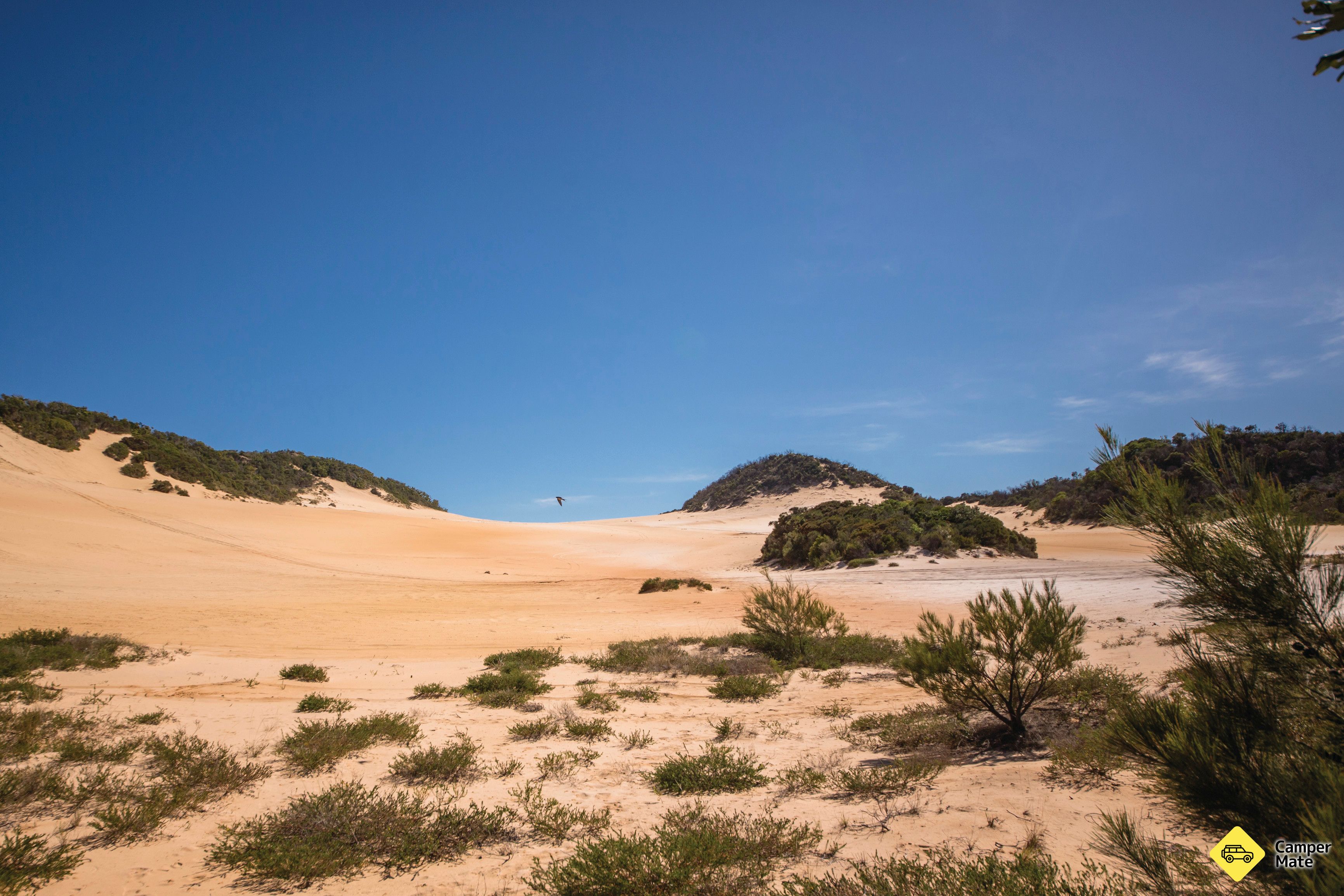 Queen Mary Sand Blow Track - Image 2