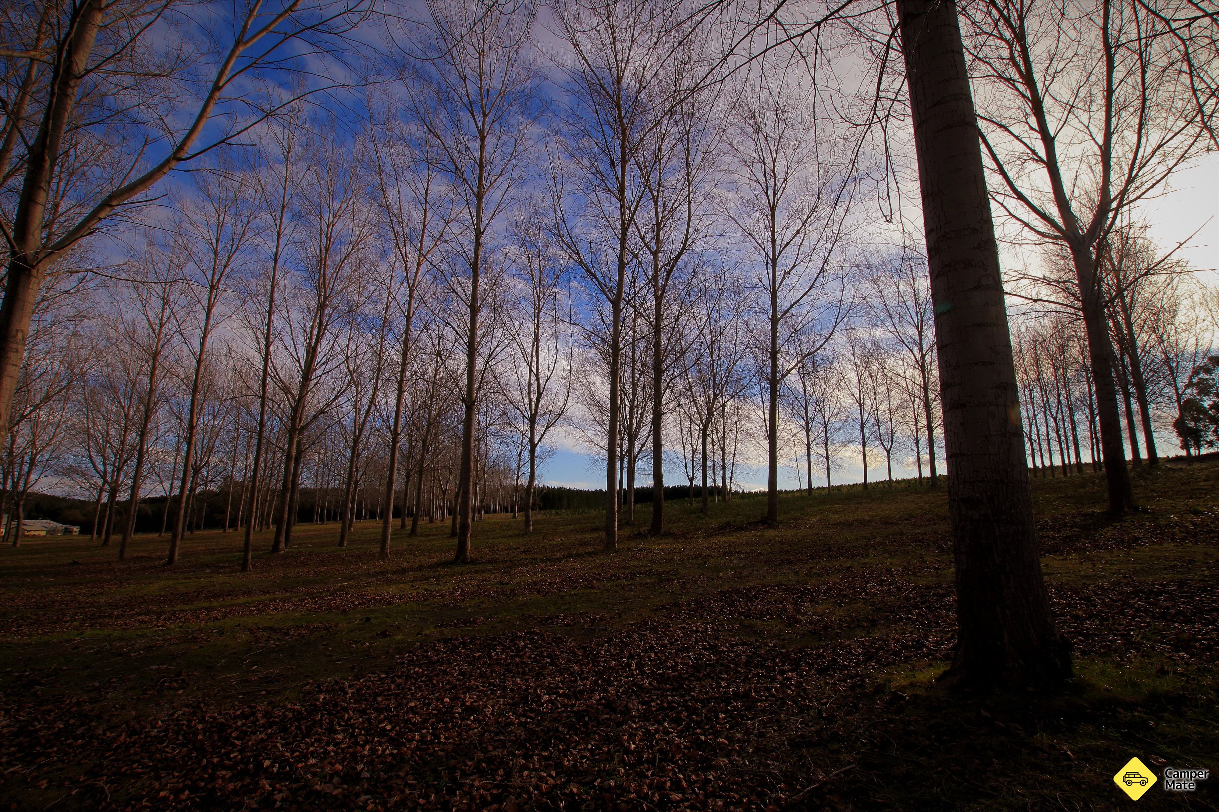 Montaña Muirhead Lookout - Image 3