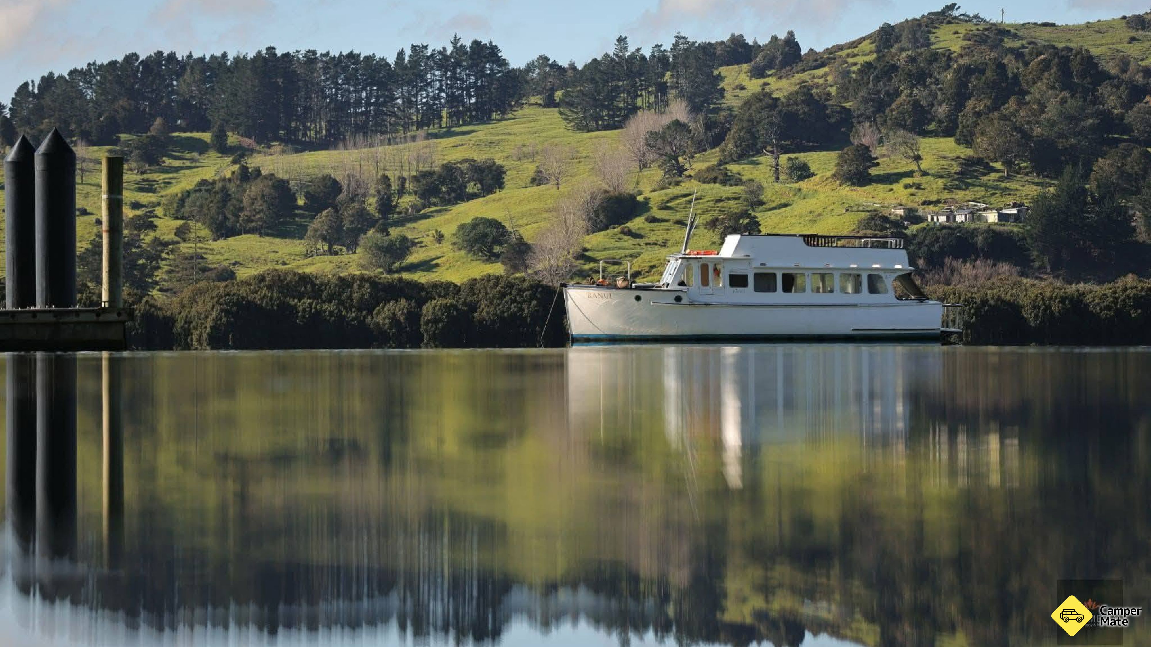 Køge på Hokianga