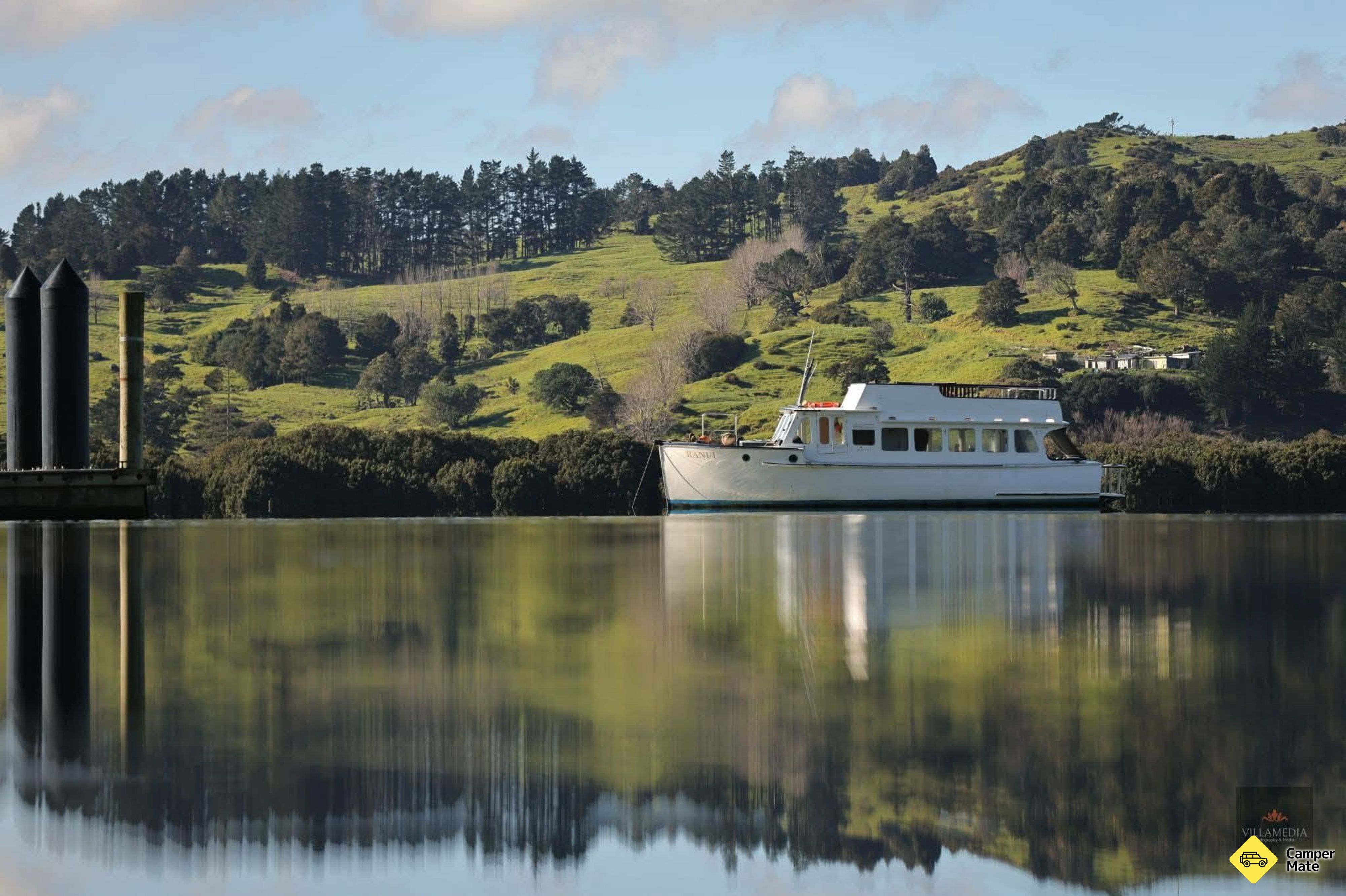Køge på Hokianga