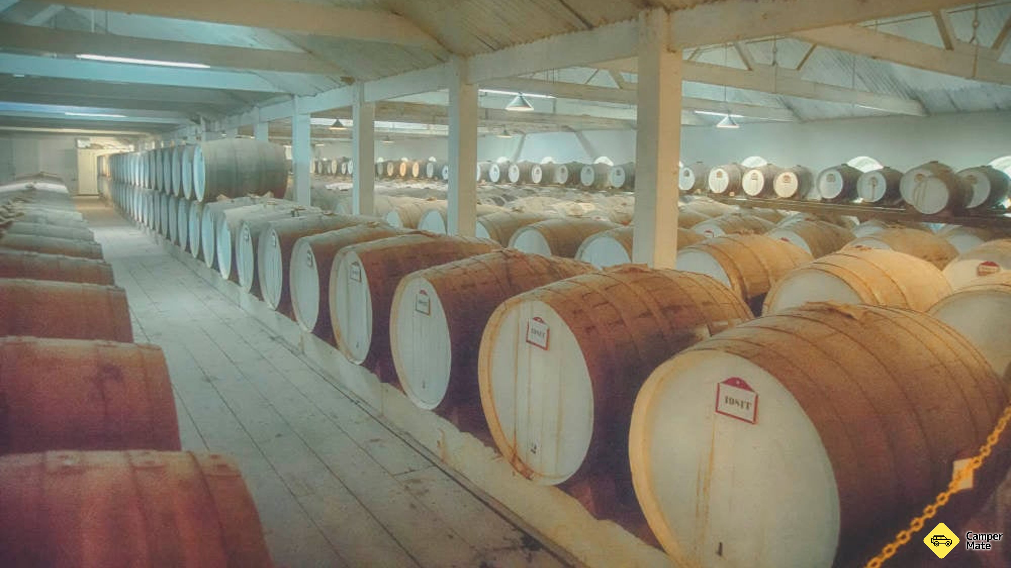Barossa Valley Small Group Winery Tour from Adelaide including Lunch