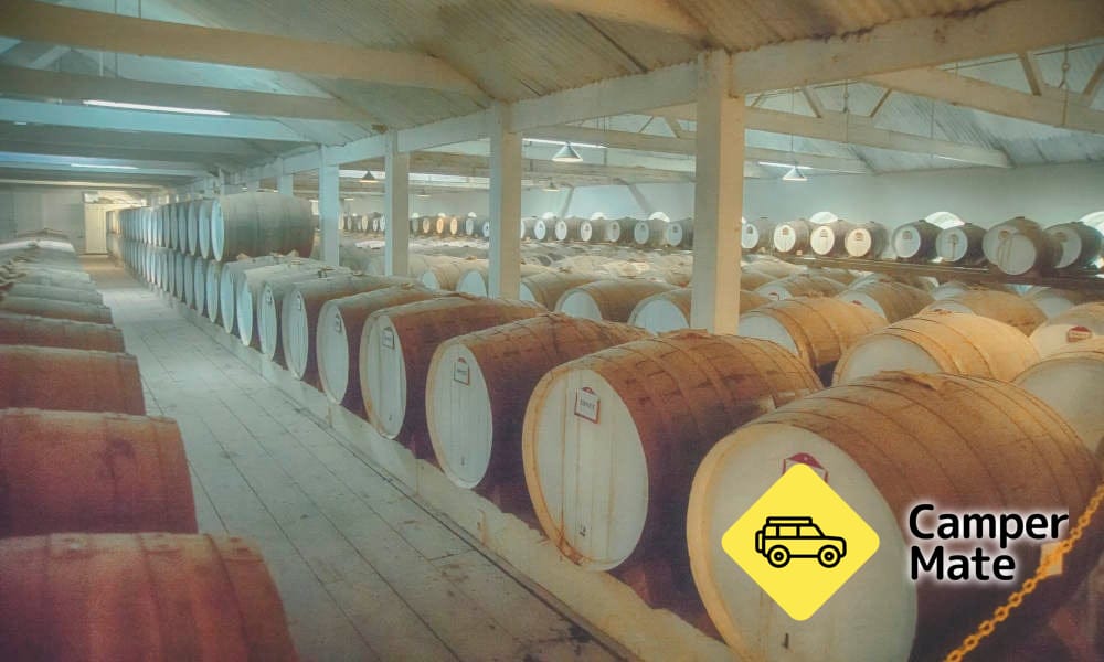 Barossa Valley Small Group Winery Tour from Adelaide including Lunch