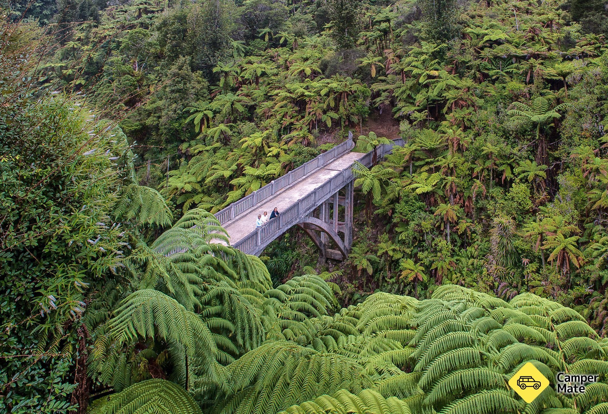 Un ponte da nessuna parte - Image 2