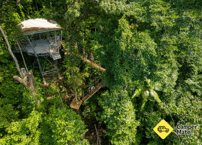 Treetops Adventure Cape Tribulation के बारे में टिप्पणियाँ