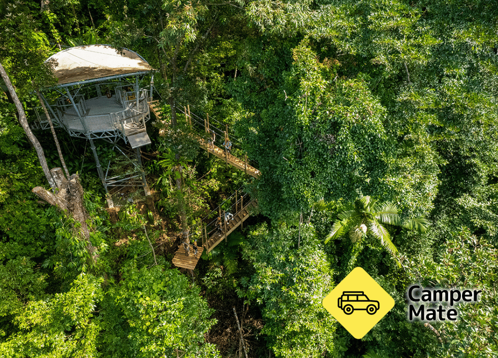 Treetops Adventure Cape Tribulation के बारे में टिप्पणियाँ