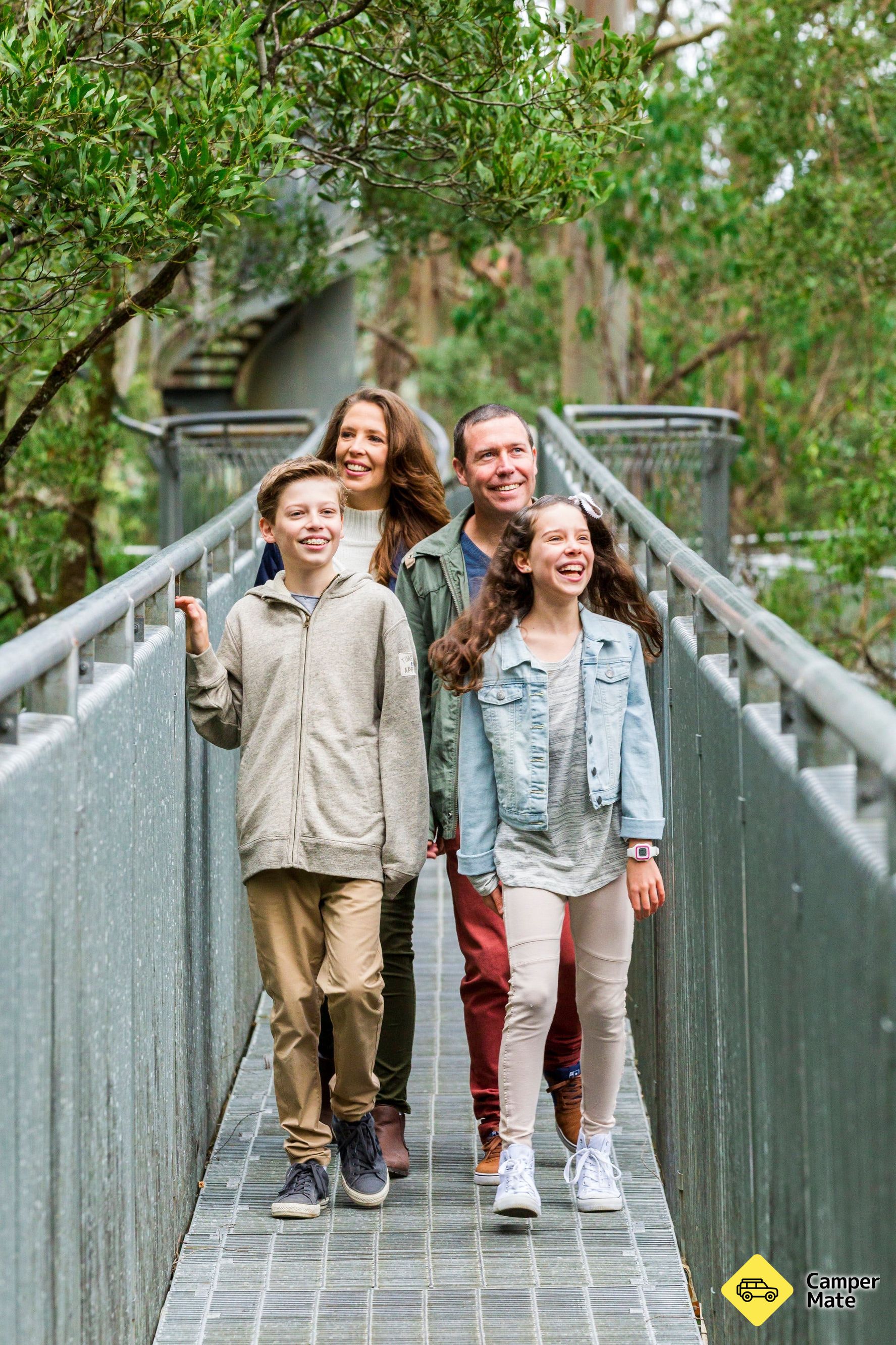 Otway Fly Treetop Adventures - Image 3