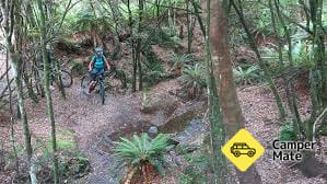 Tree Trunk Gorge Track
