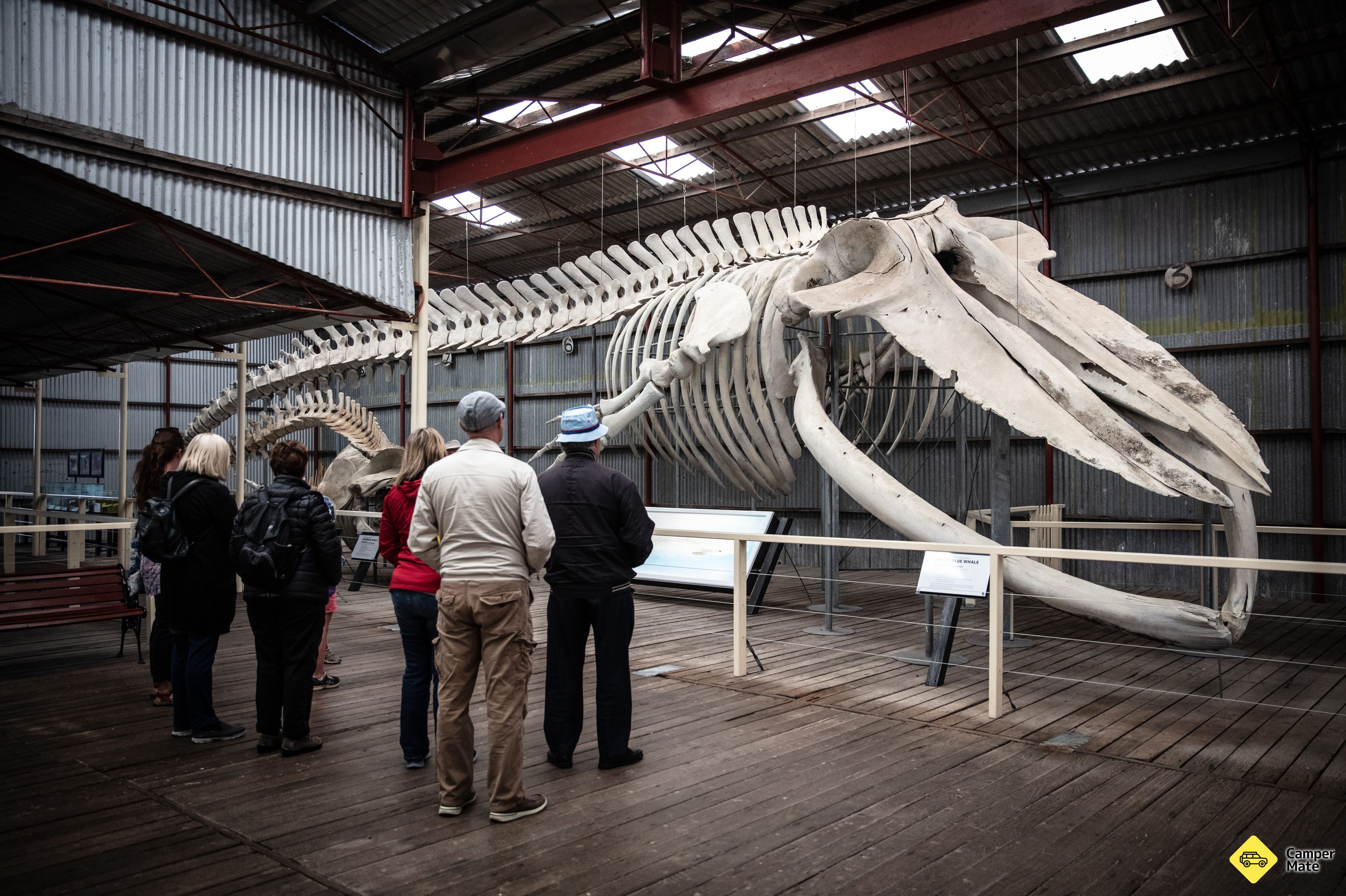 La station historique de chasse à la baleine d'Albany - Image 2