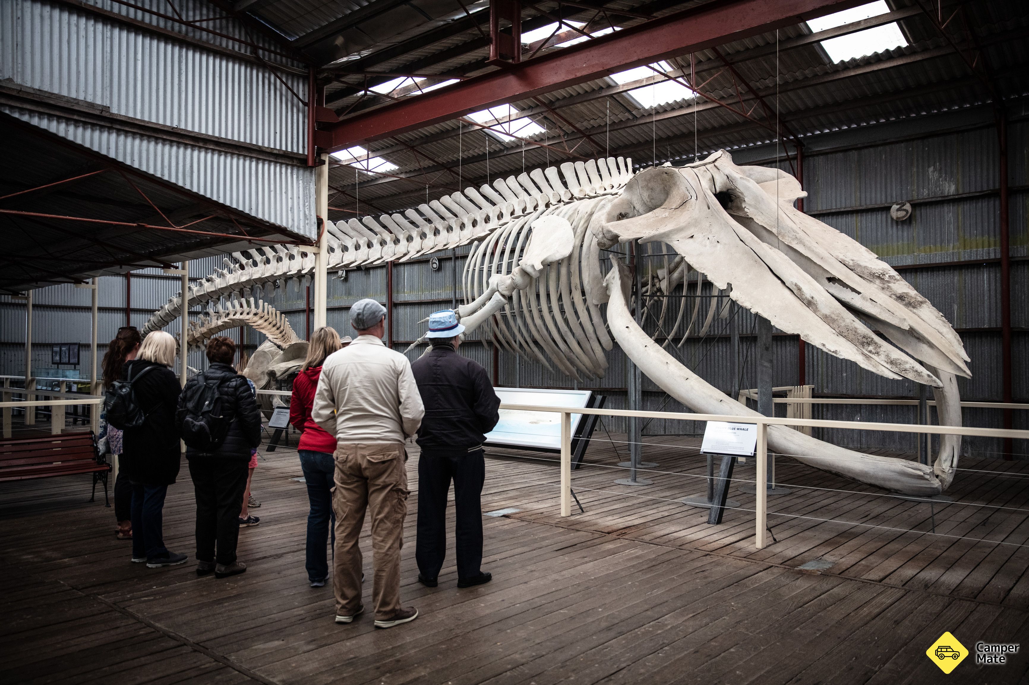 Albany's Historic Whaling Station - Image 2