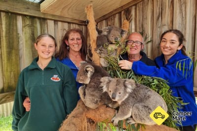 Maru Koala and Animal Park