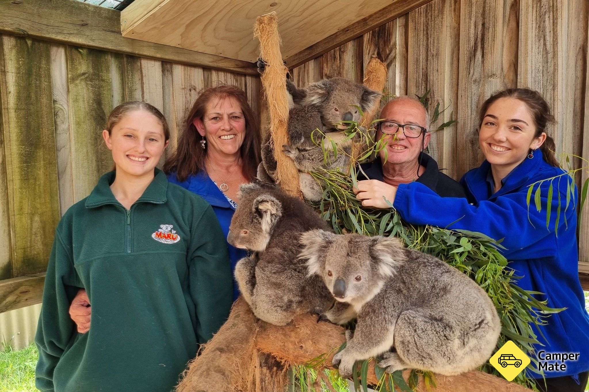 Maru Koala and Animal Park