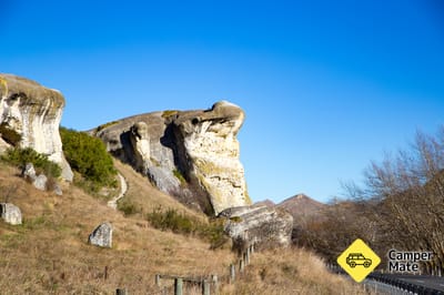 Szőlő Rock