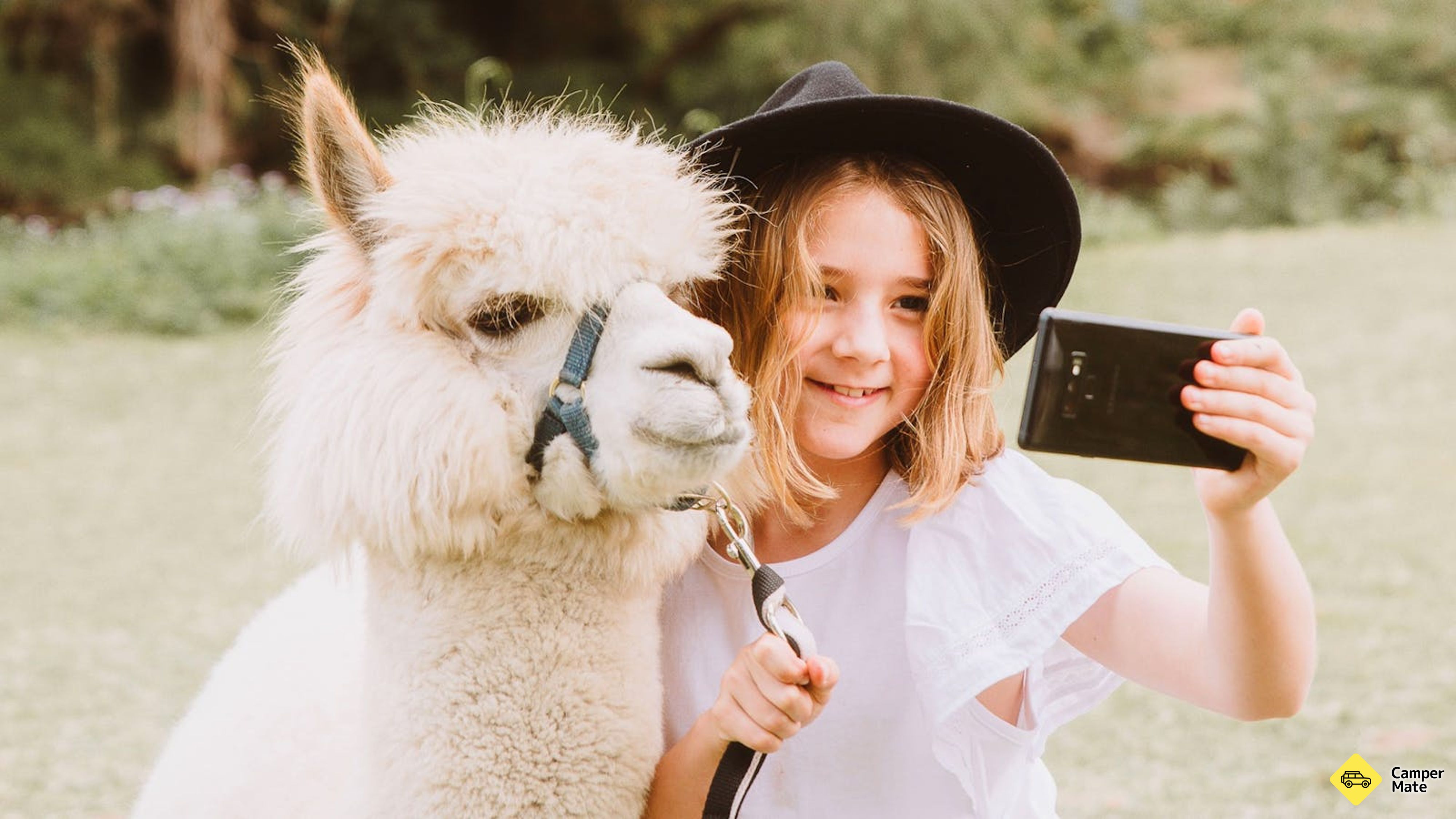 Hotell nära Mountview Alpaca Farm
