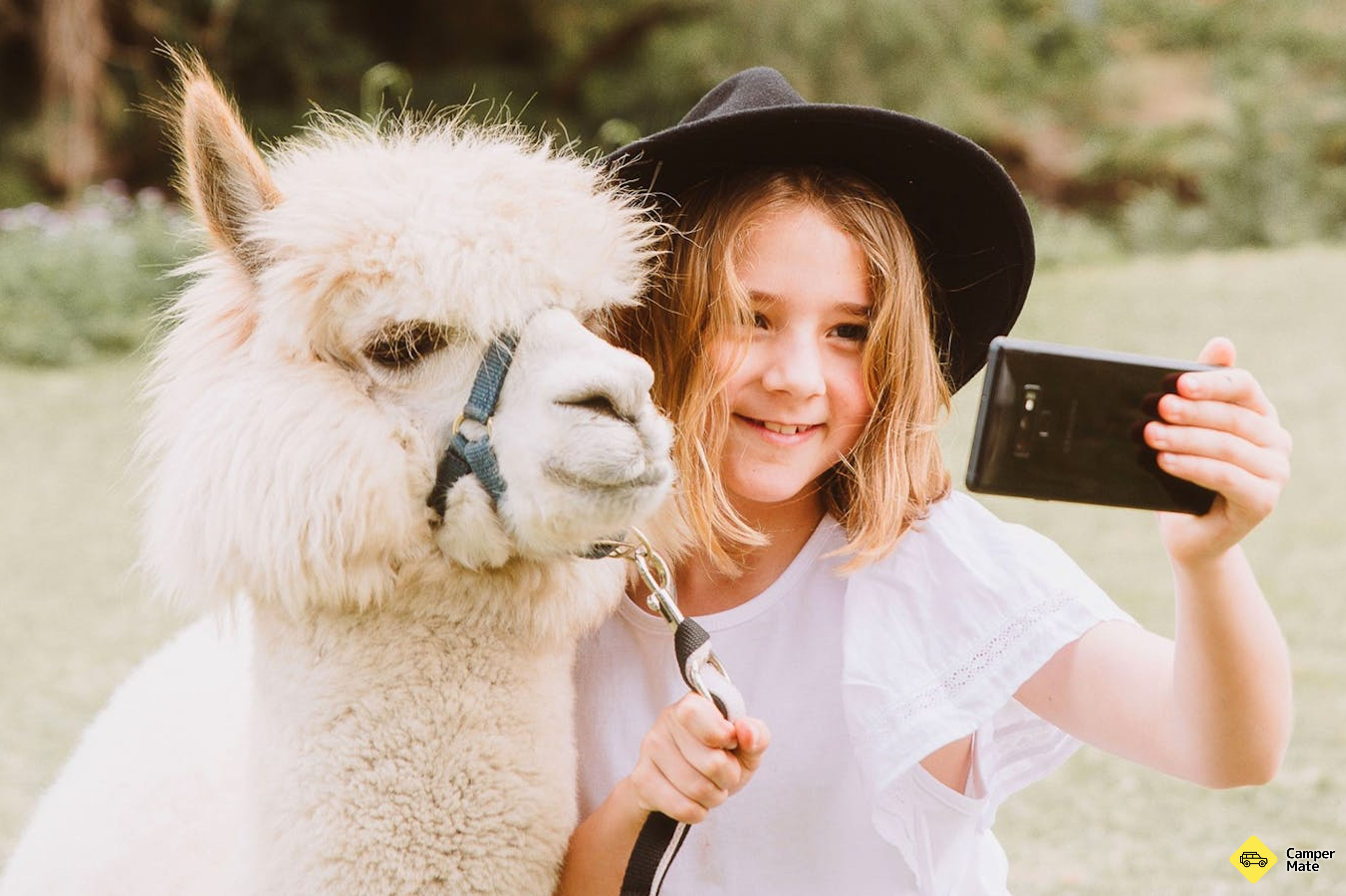 Hotell nära Mountview Alpaca Farm