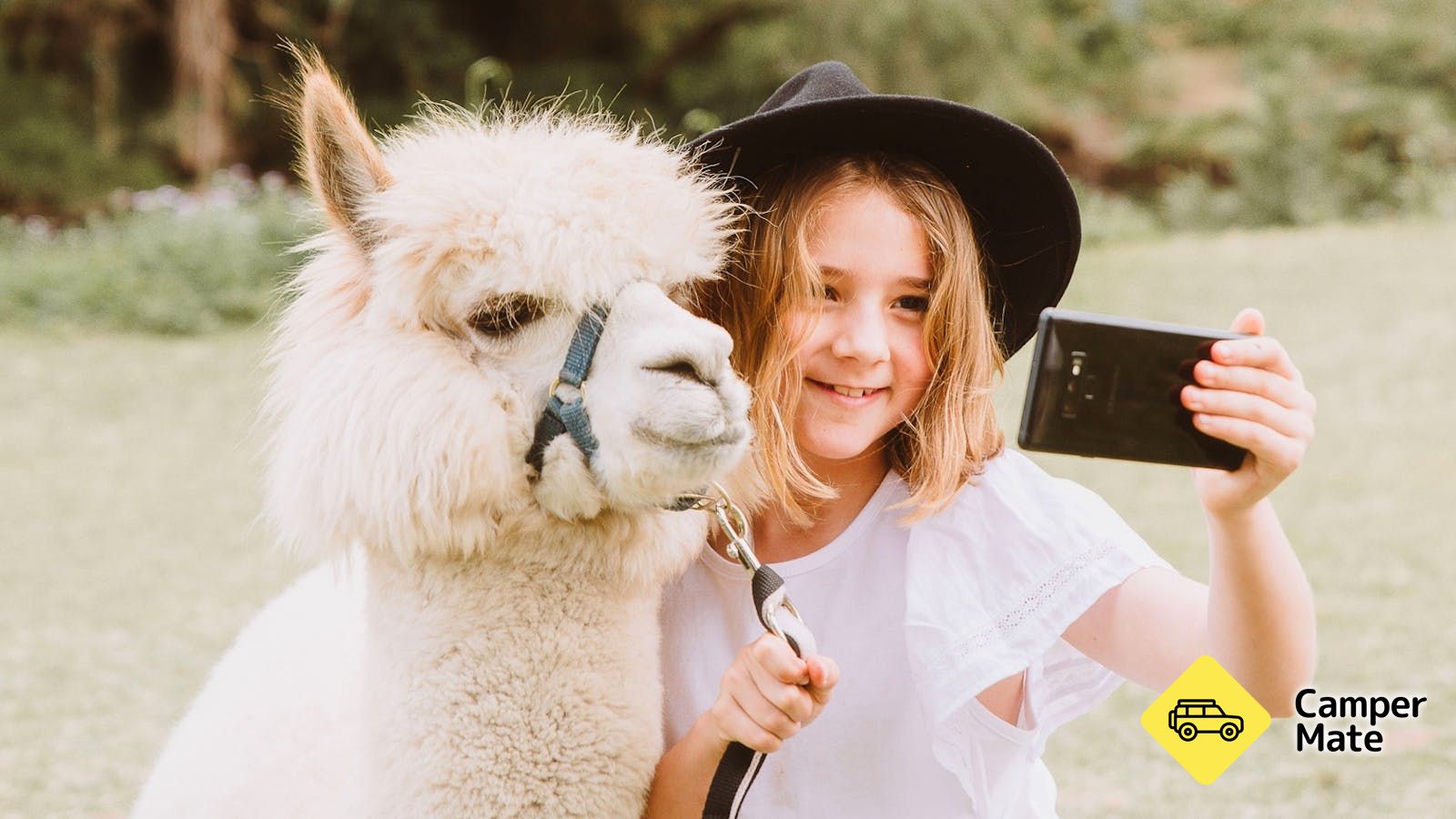 Mountview Alpaca Farm