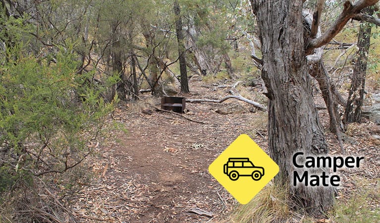 Dows Camp - Image 3