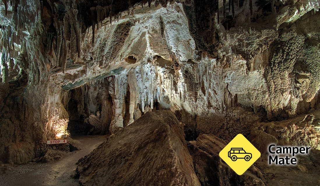 Ngarua Cave - Image 2