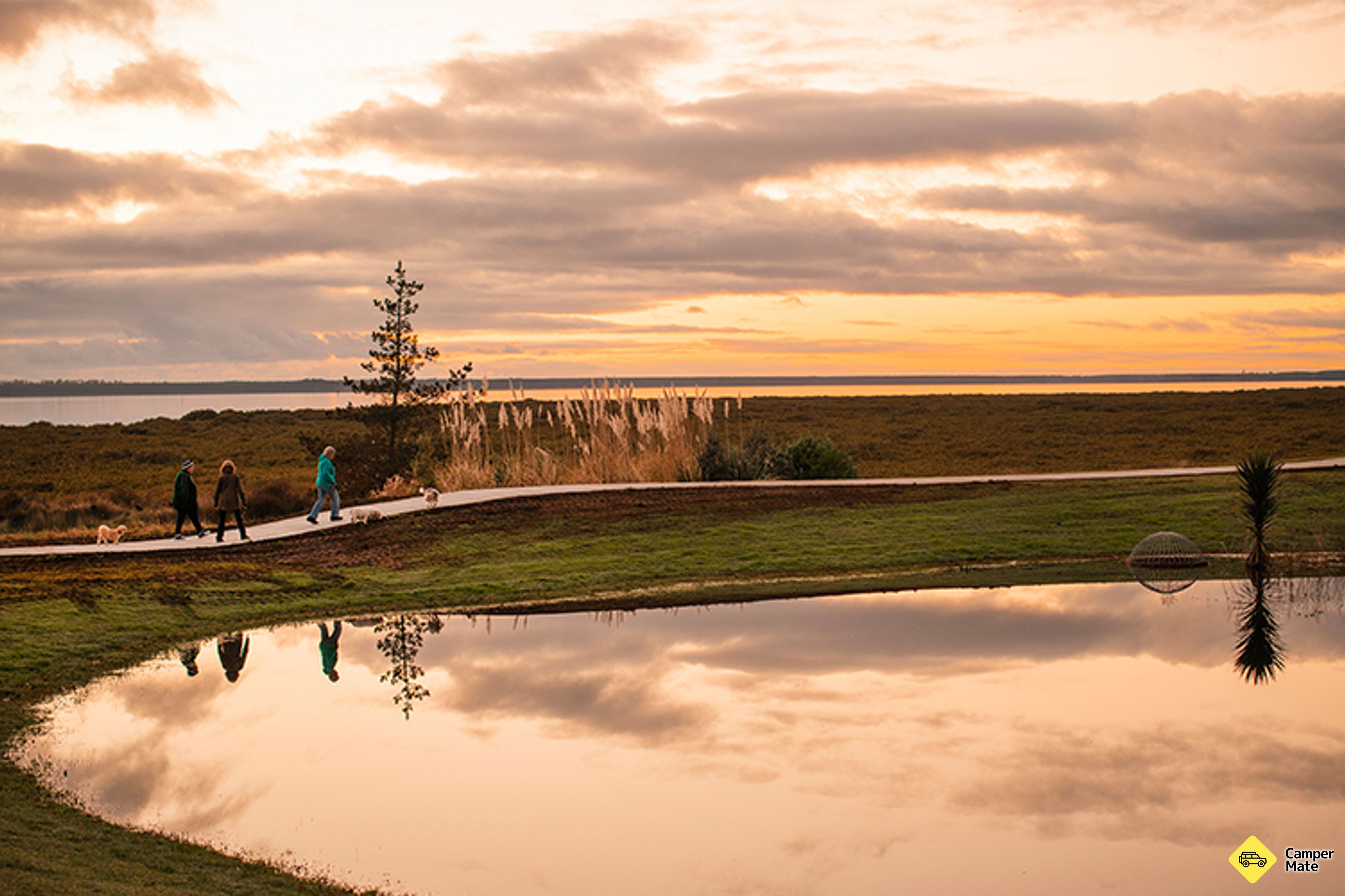 Katikati Uretara Stream to Beach Road Track