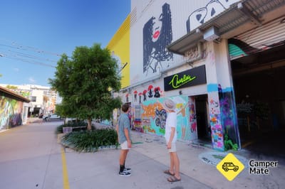 Charlies of Darwin