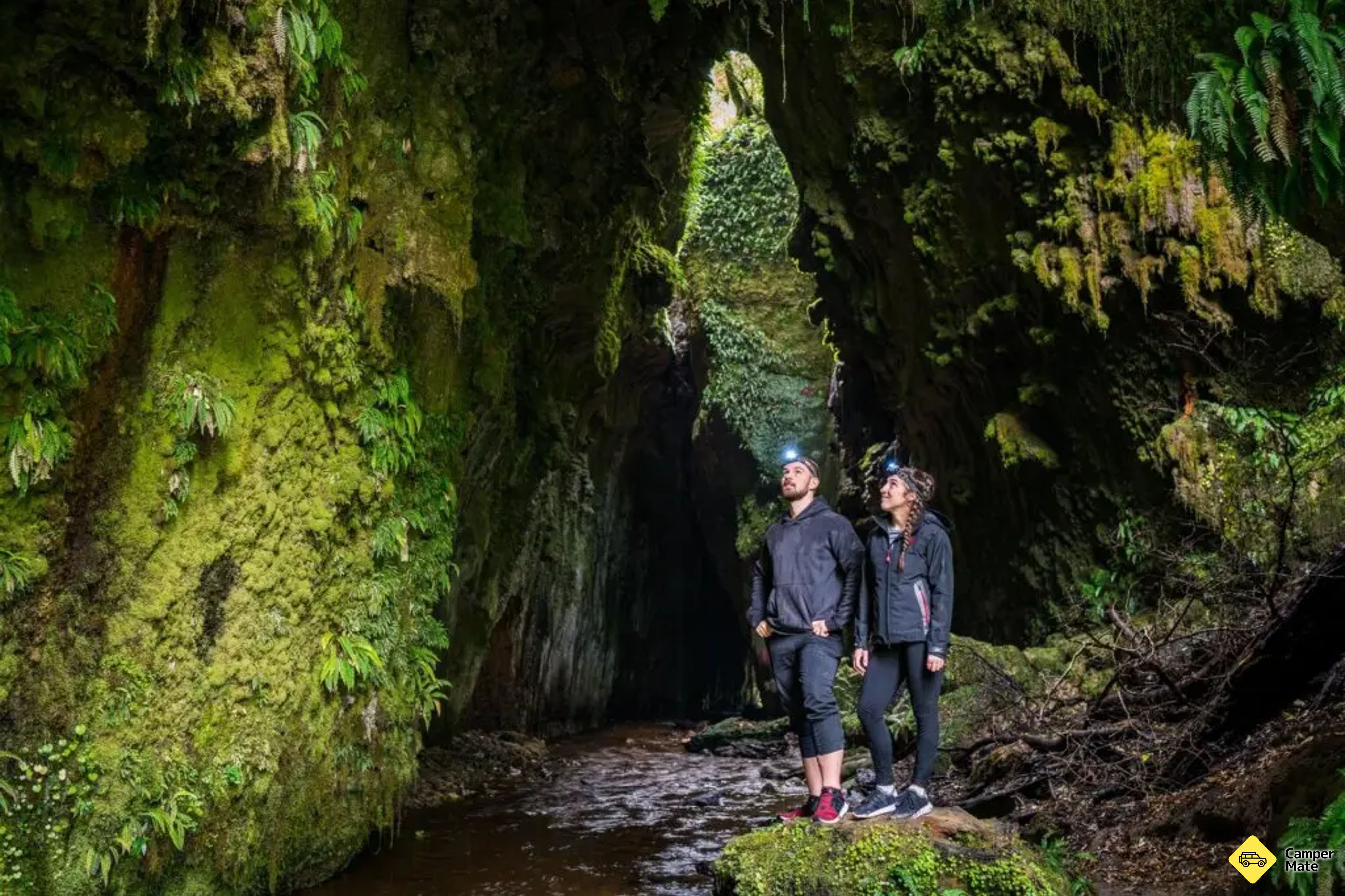 Apiti Limestone Caves & Glow Worms - Image 2