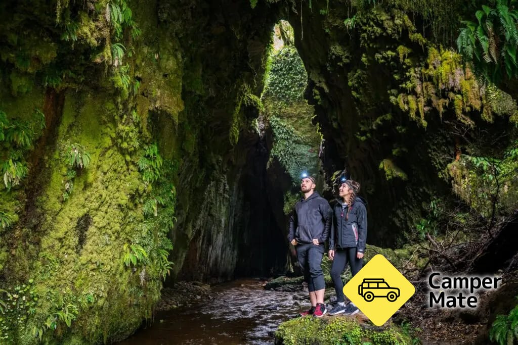 Apiti Limestone Caves & Glow Worms - Image 2