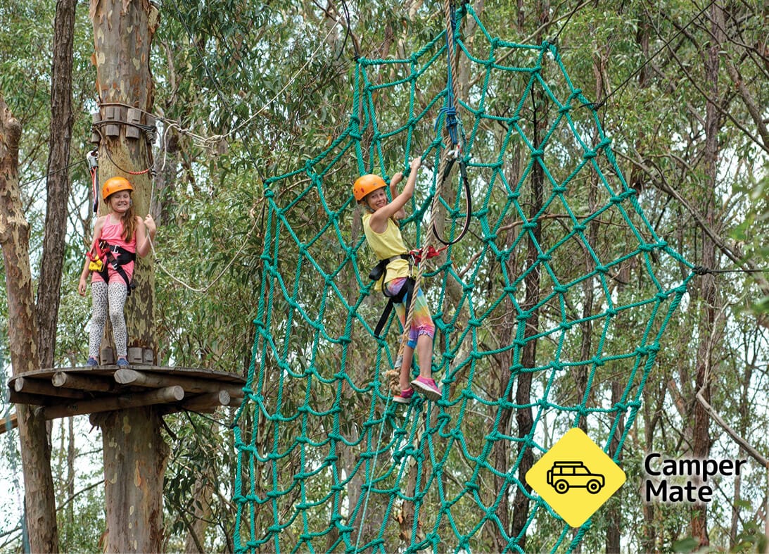 Treetops Adventure Newcastle 
