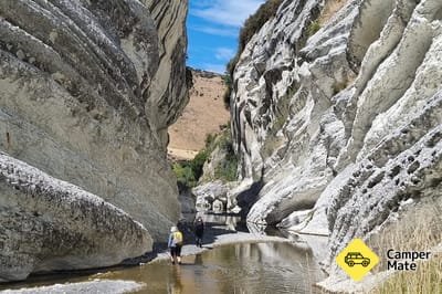 Les fossiles de la gorge